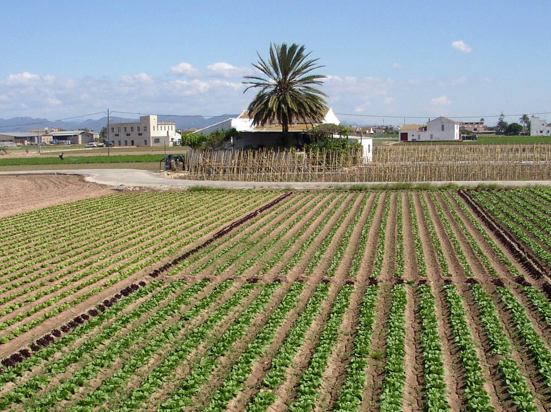 Horta Viva-巴伦西亚必去景点