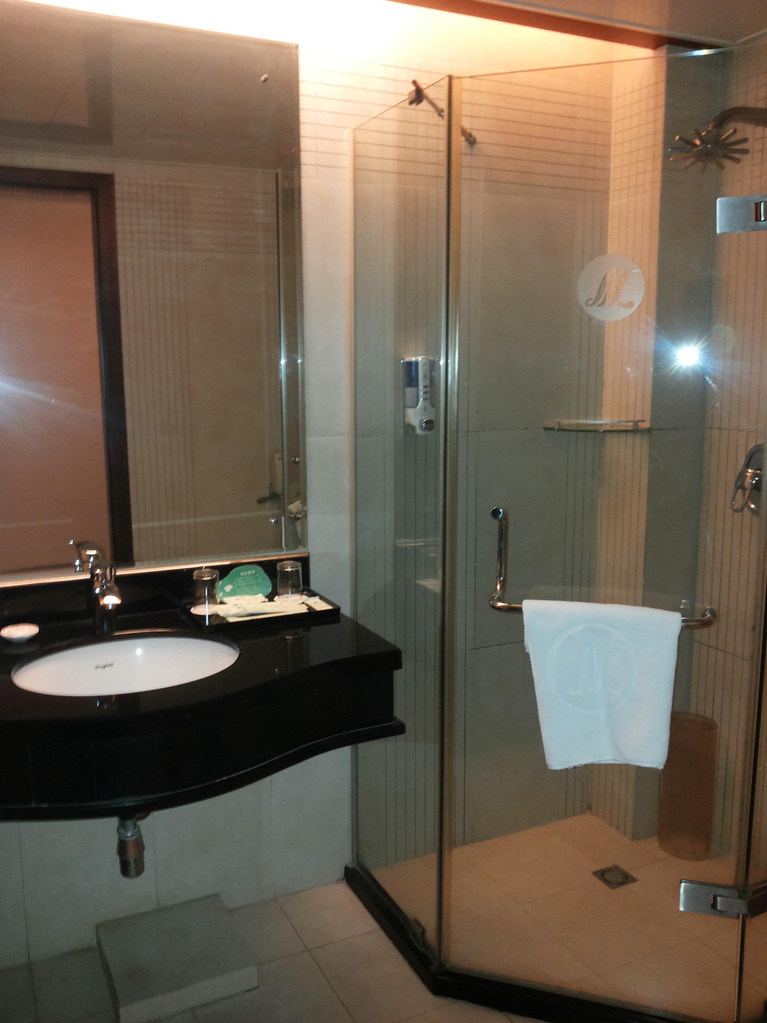 东辰大酒店-浴室