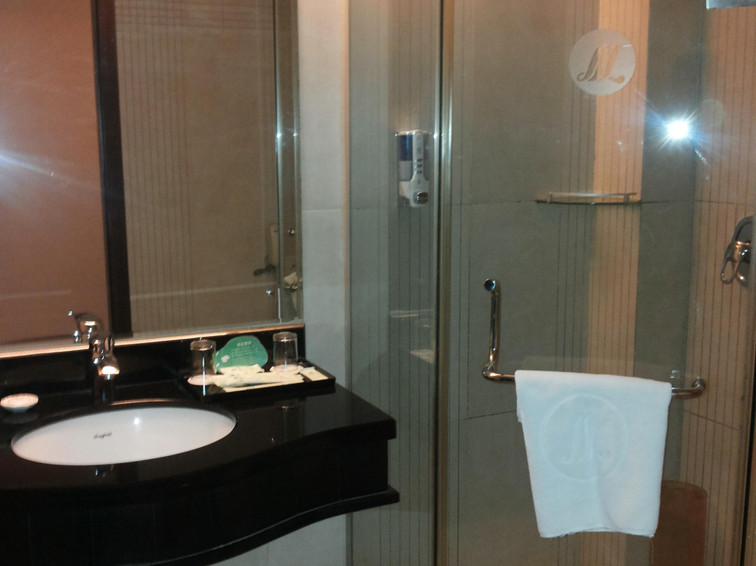 东辰大酒店主图