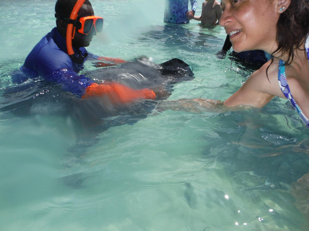 Stingray City Bahamas-Great Harbour Cay必去景点