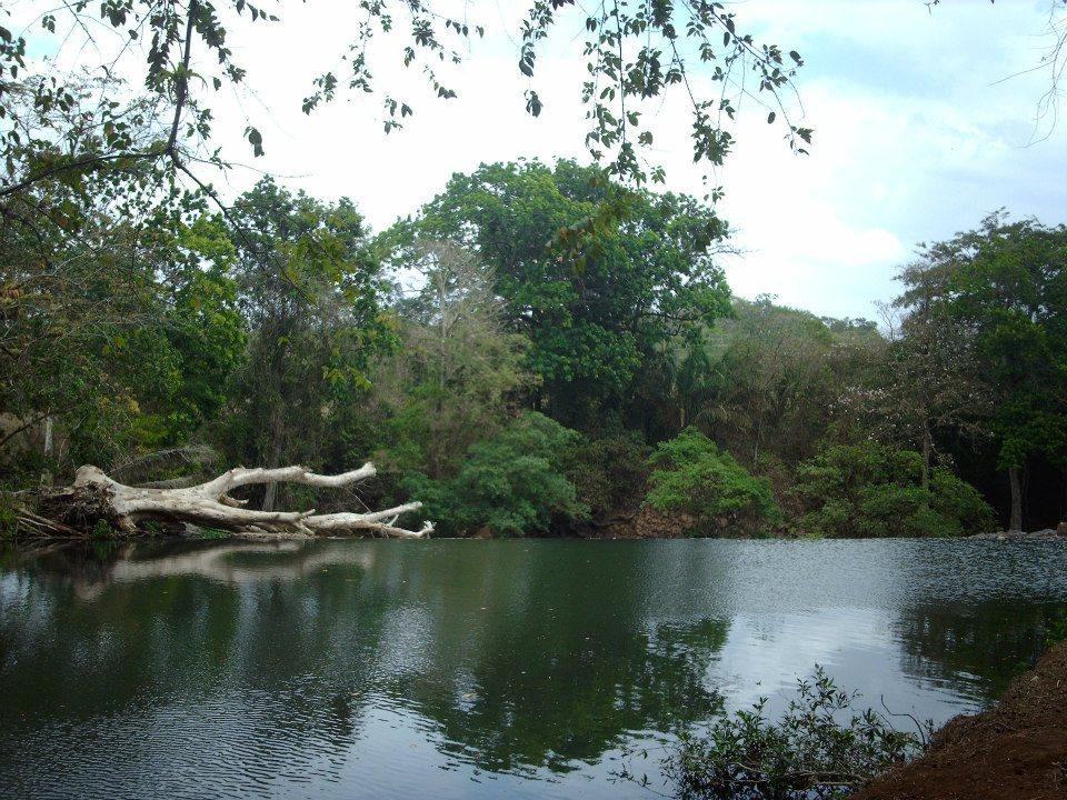 Chorro de La Chorrera景点图片
