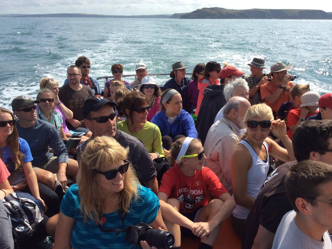 Pembrokeshire Guided Tours - Day Tours景点图片