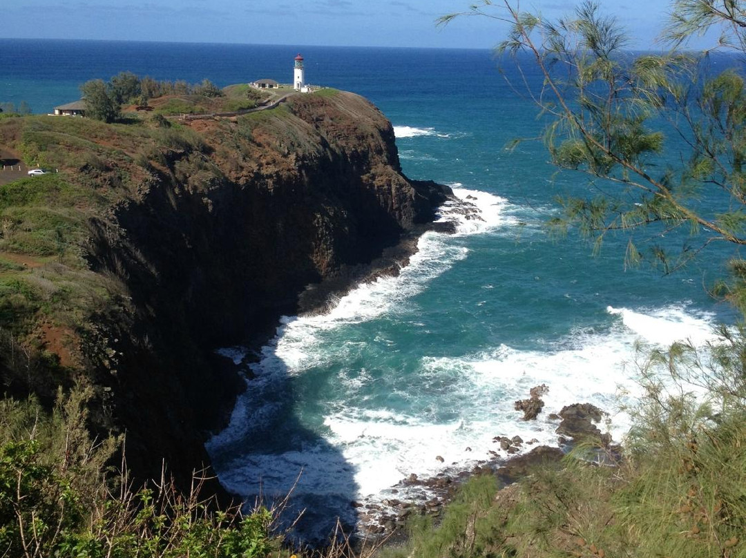 Experience Kauai Tours & Transportation-普林斯维尔必去景点