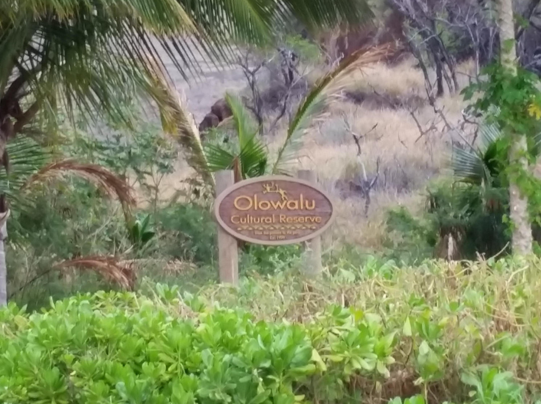 Olowalu Petroglyphs-拉海纳必去景点