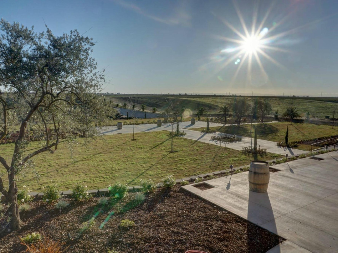 Toca Madera Winery-马德拉必去景点