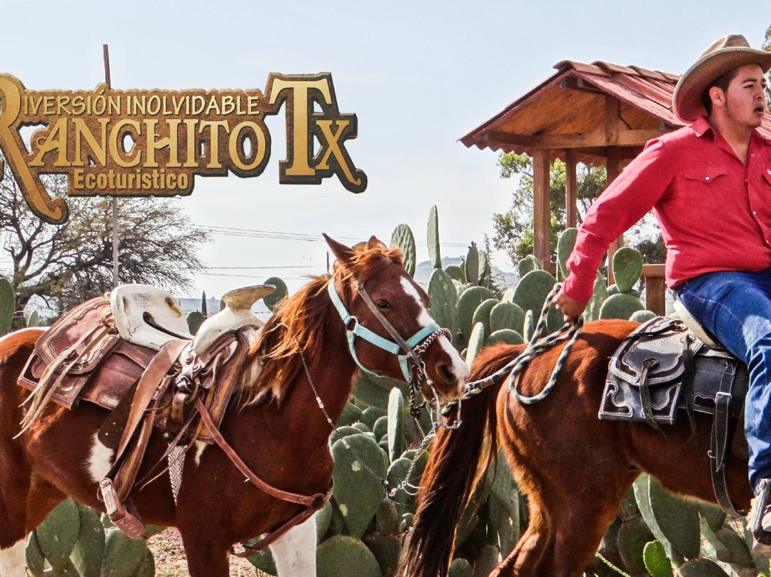Ranchito Tx景点图片