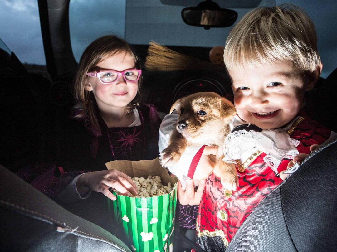 Movie Junction-Carrigtwohill必去景点