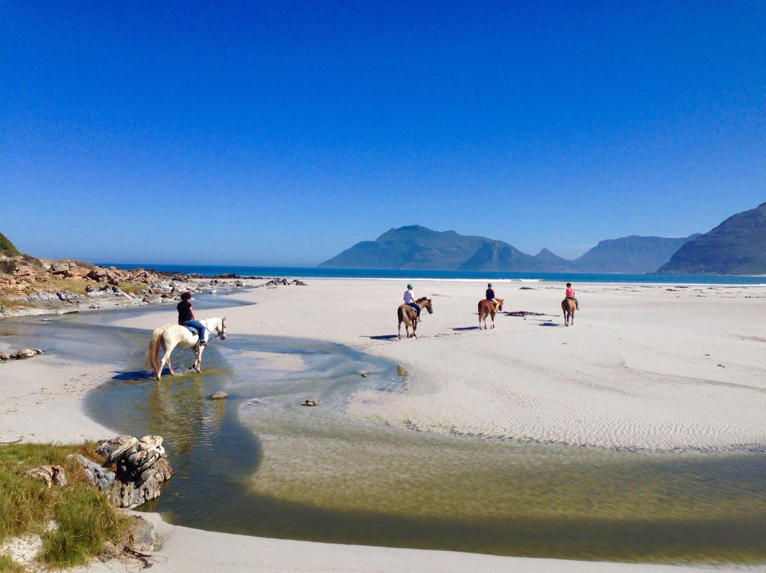 Imhoff Farm-Kommetjie必去景点