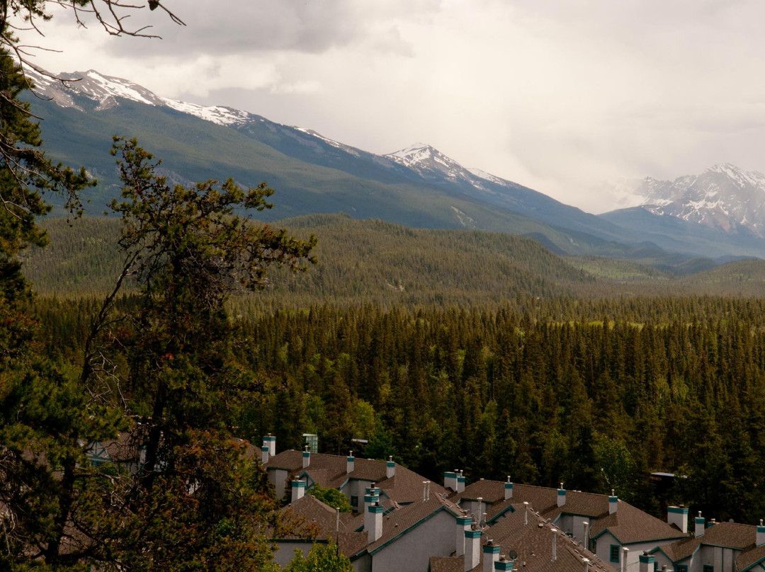 Jasper Discovery Trail-贾斯珀必去景点