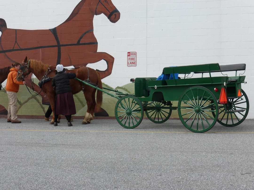 New Castle Farmer's Market-New Castle必去景点