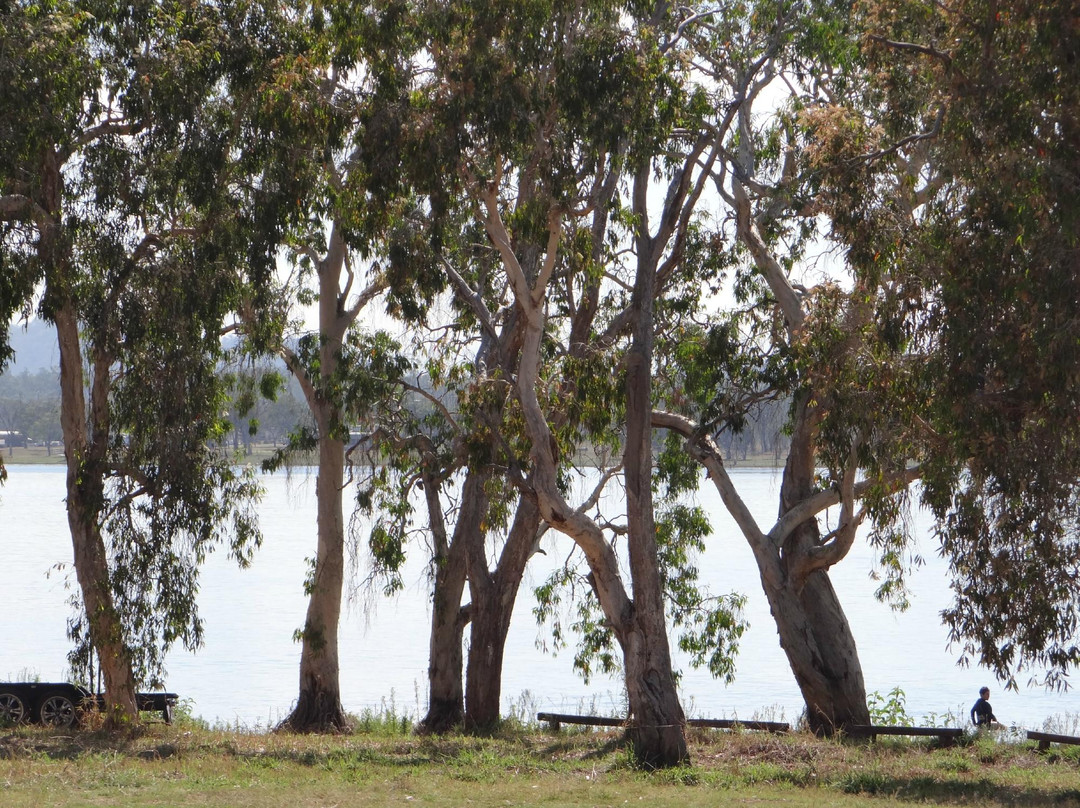 Lake Elphinstone景点图片