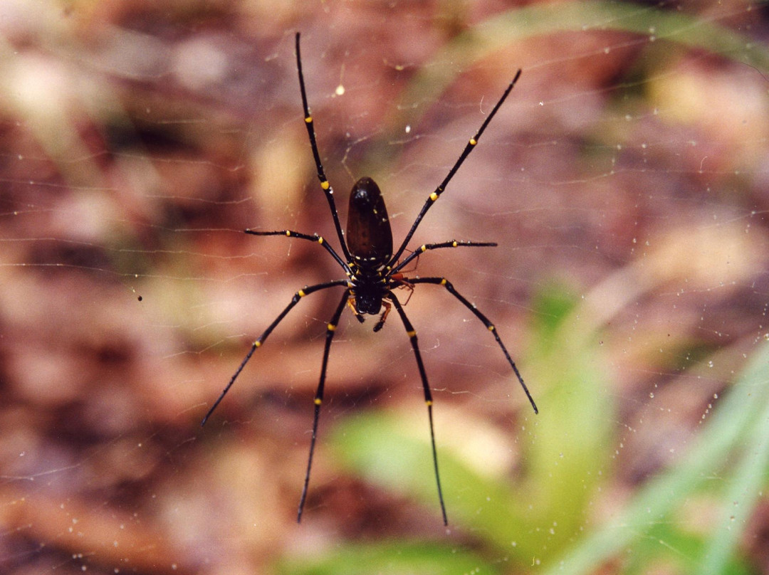 Holmes Jungle Nature Park-达尔文市必去景点