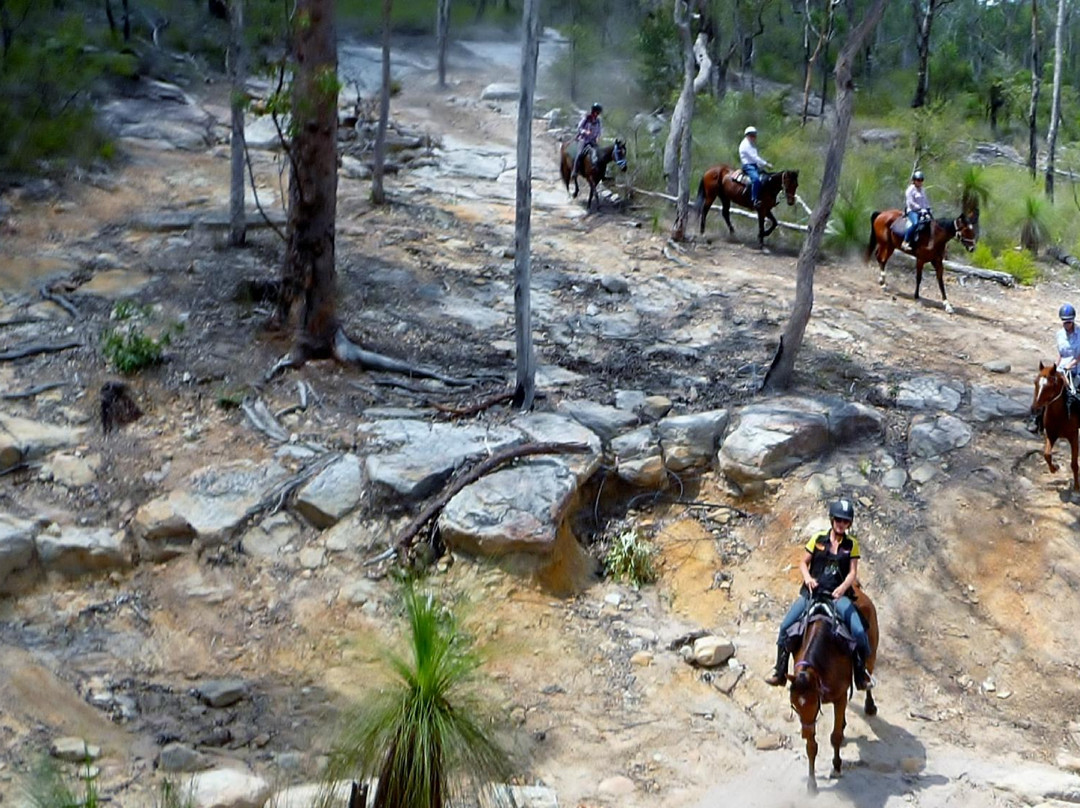 Tamborine Mountain Trail Rides景点图片