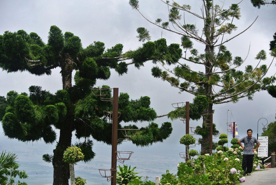 Gunung Jerai景点图片