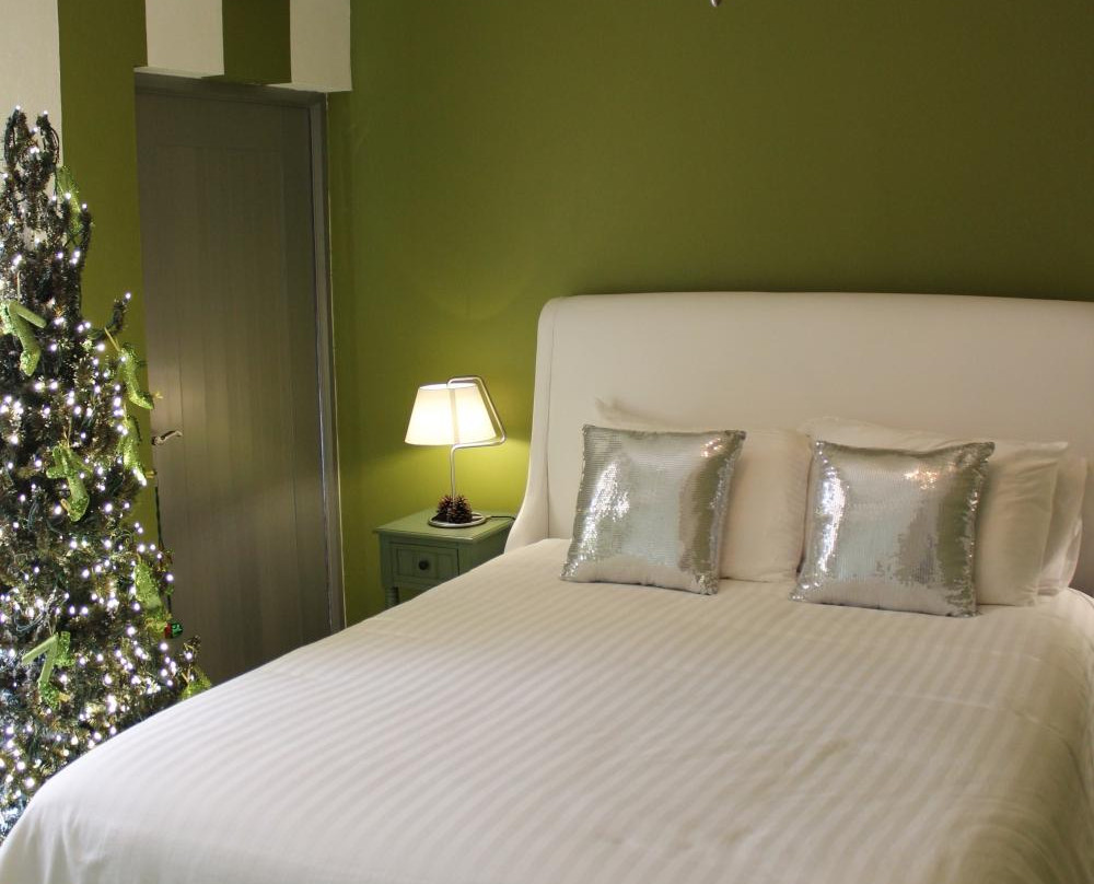 Fonda & Posada El Navideno主图