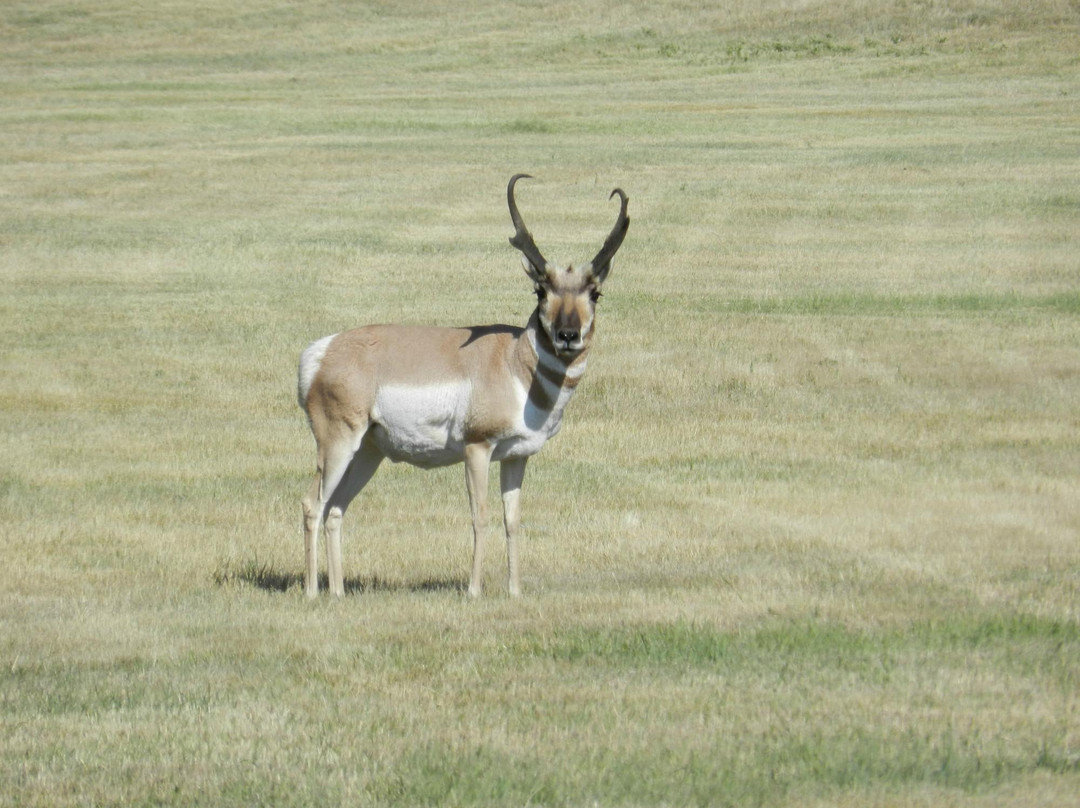 Warren Air Force Base-夏延必去景点