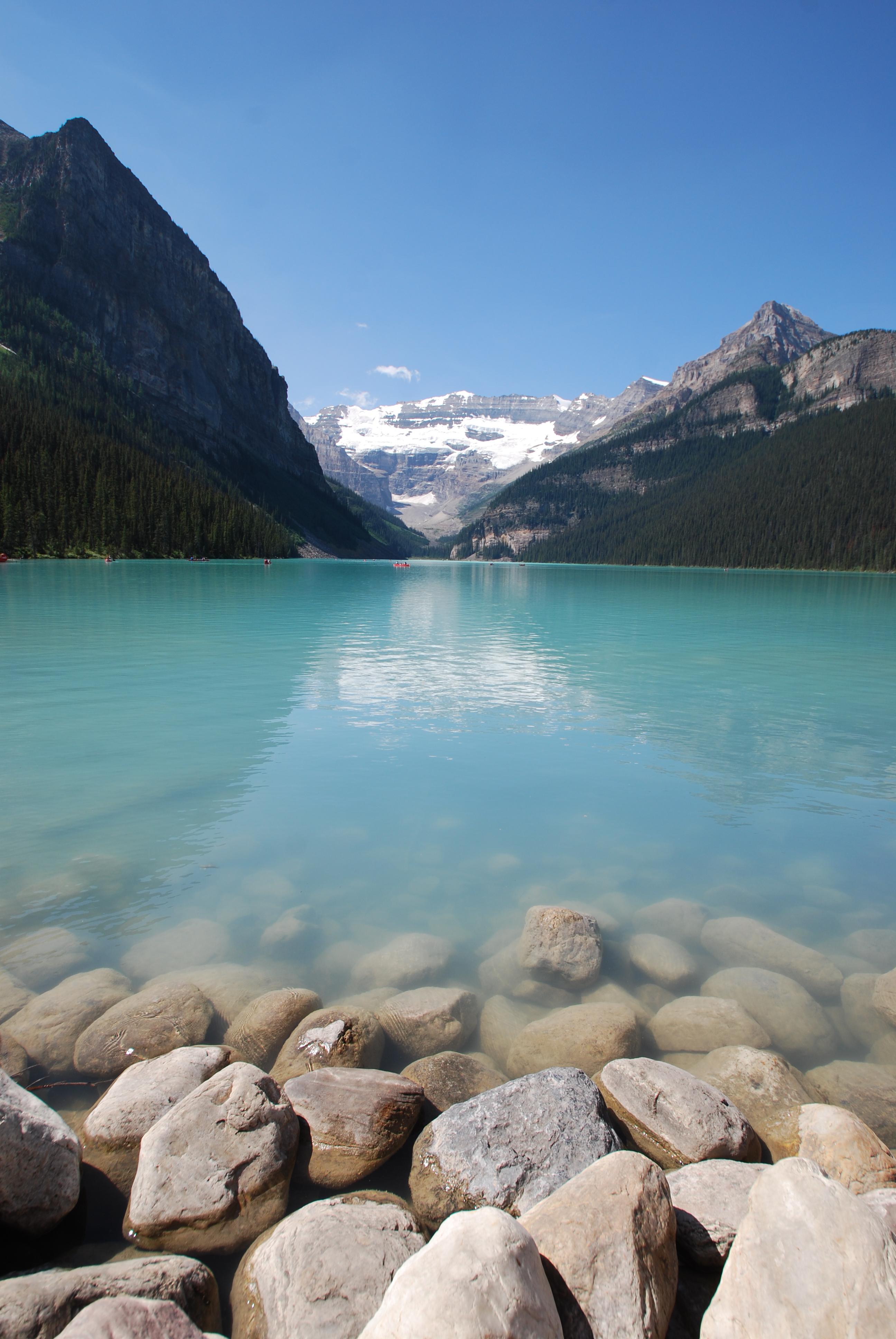 Bear Necessities B&B-泳池