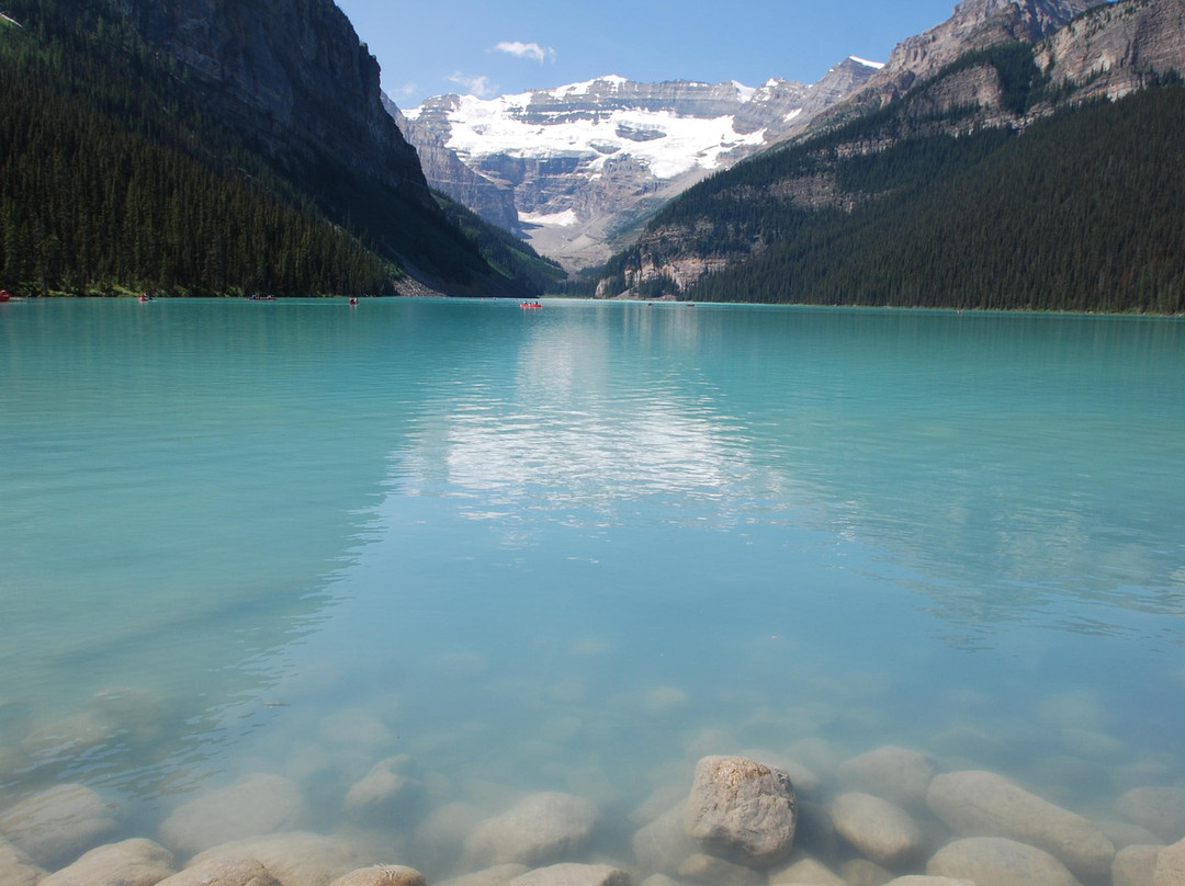 Bear Necessities B&B主图