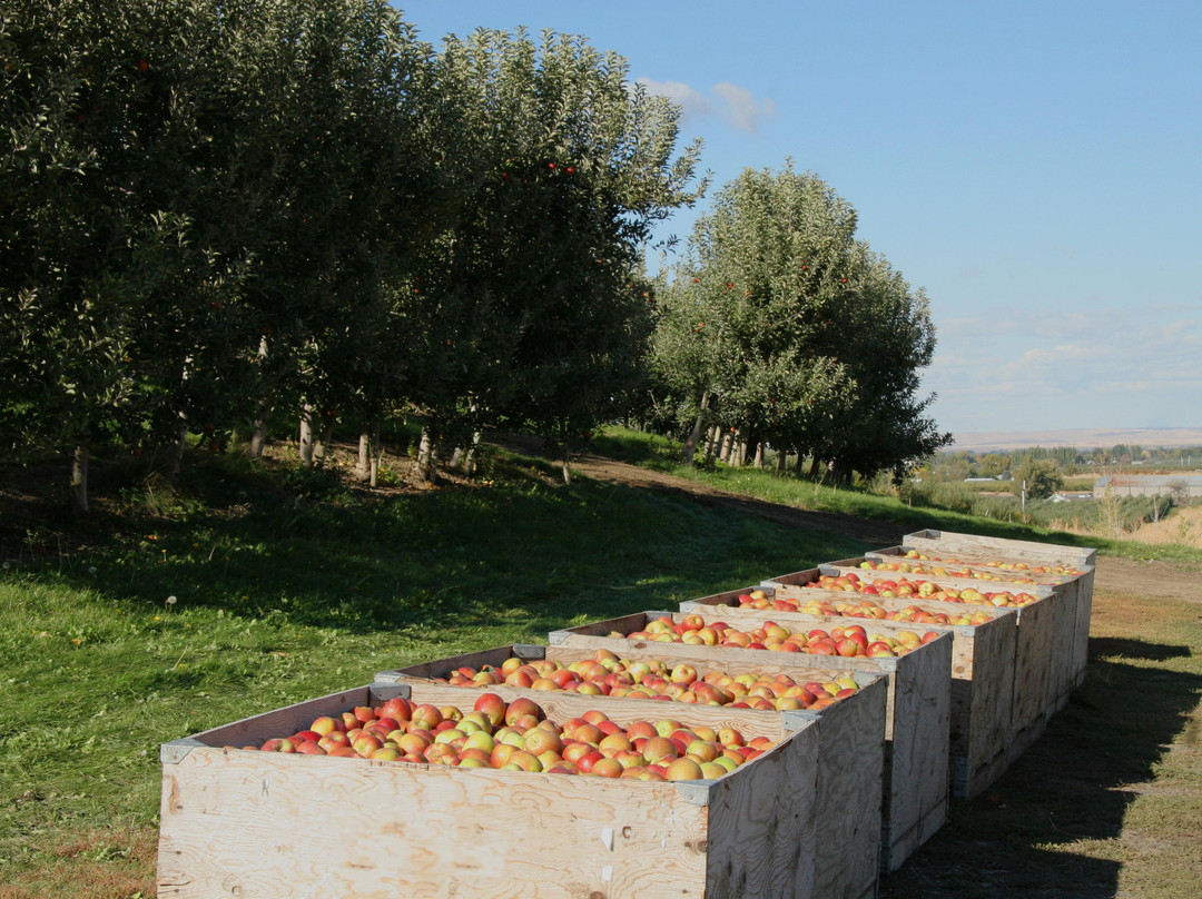 The Blue Mountain Cidery-Milton Freewater必去景点