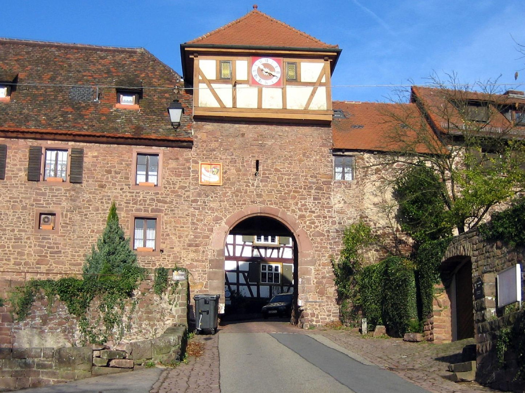Neckargemund旅游攻略图片