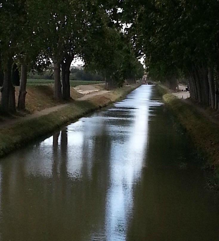 Canal de Jonction-Salleles-d'Aude必去景点