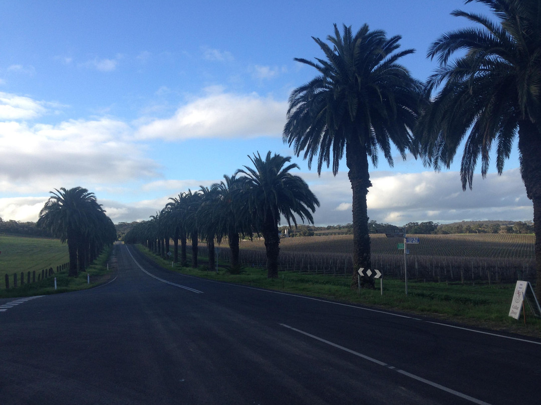 Barossa Taste Sensations - Day Tours景点图片