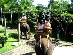 Bali Spartan Tour-登巴萨必去景点