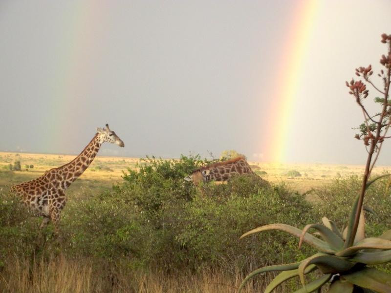 Silole Sanctuary-内罗毕必去景点