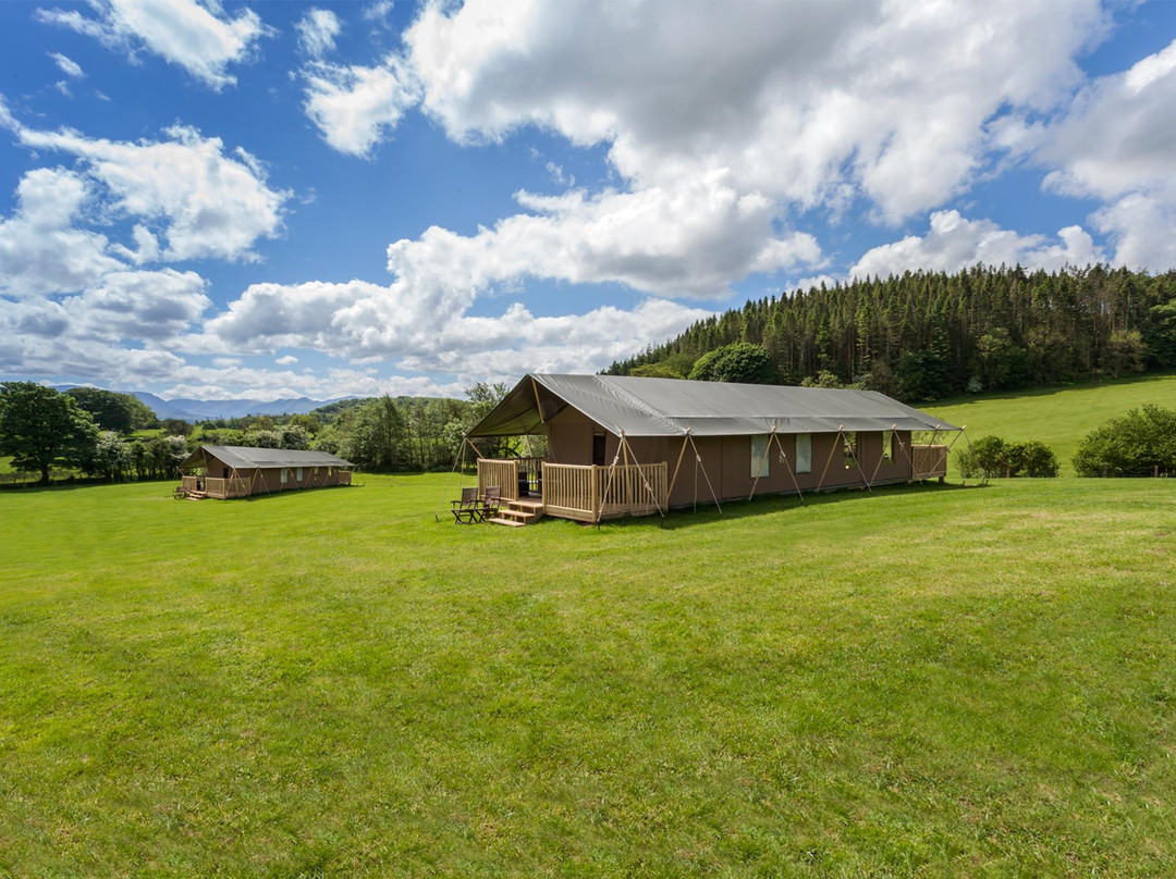 Wonderfully Wild Lodges