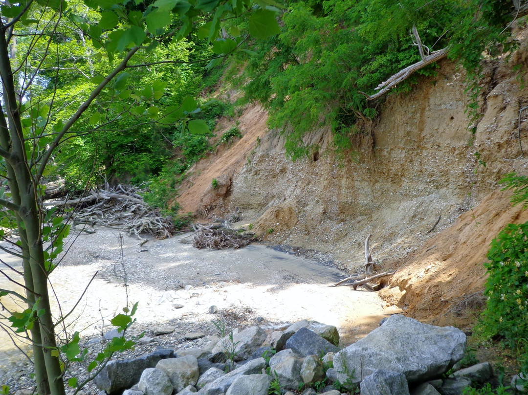 Chippokes State Park-Surry必去景点