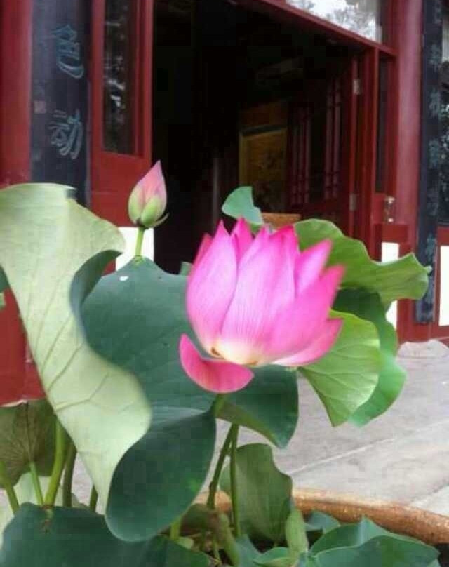 丰庆公园-西安市必去景点