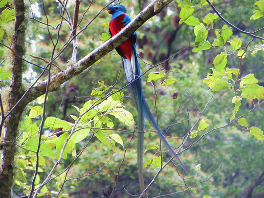 Panama Pathfinders-波魁特必去景点