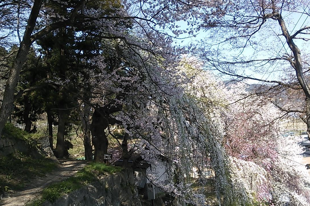 Eboshiyama Park-南阳市必去景点