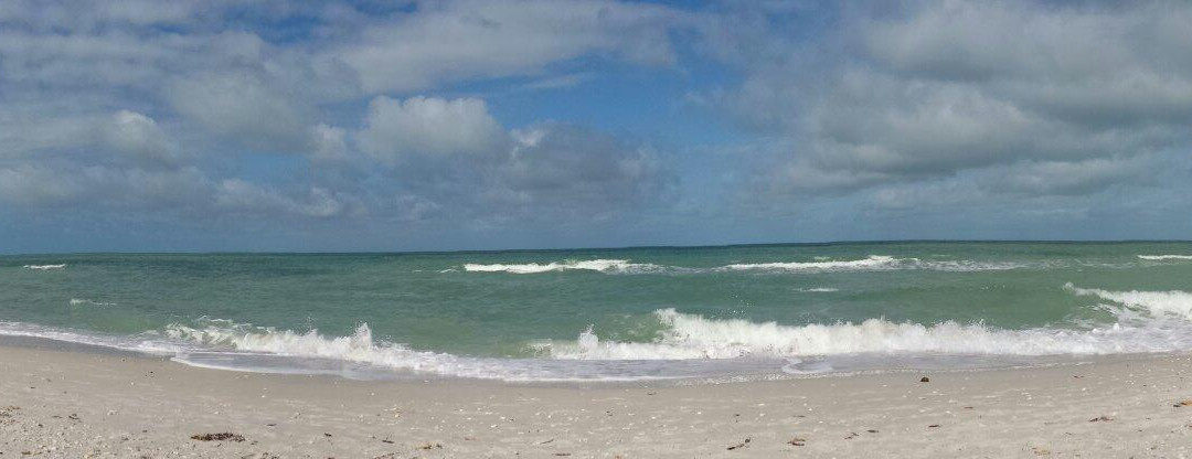 Delnor-Wiggins Pass State Park-那不勒斯必去景点