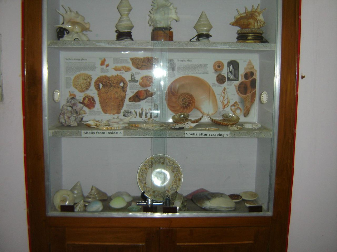 Alice Garg National Seashells Museum-斋蒲尔必去景点