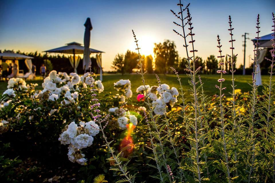 Agriturismo La Torretta