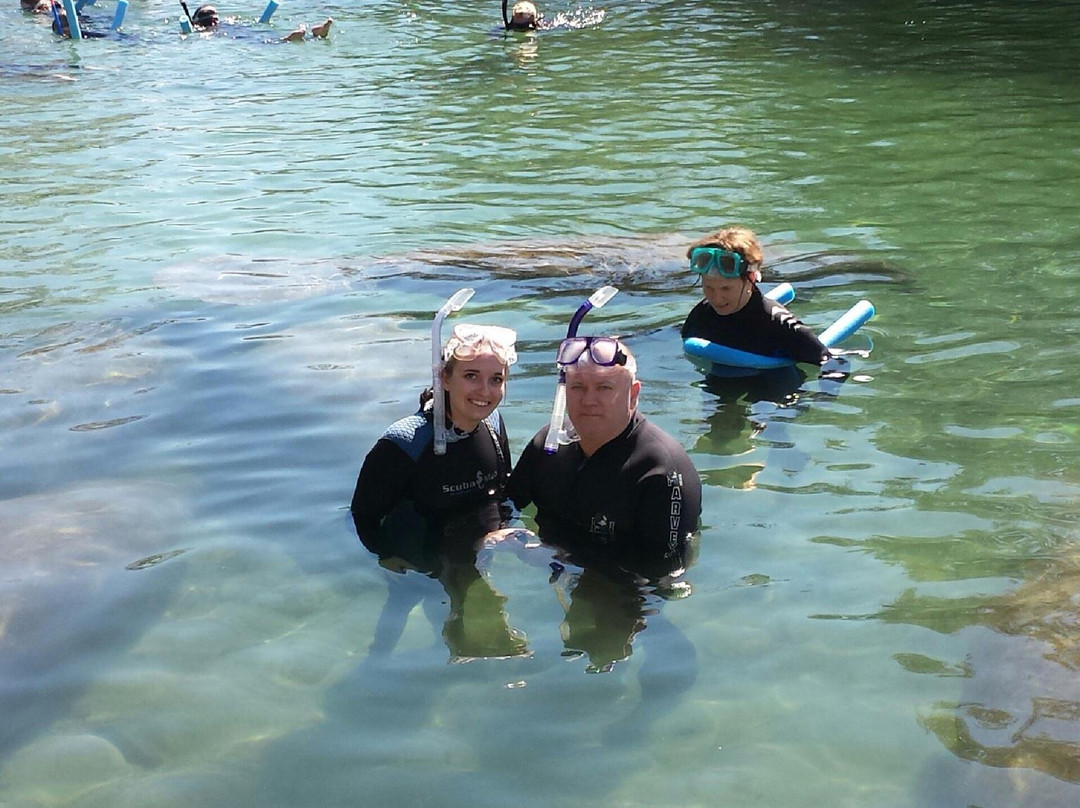 Florida Manatee Adventures-克里斯特尔里弗必去景点