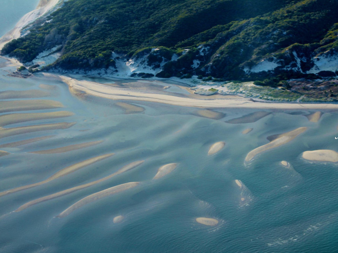 Daintree Air Services景点图片