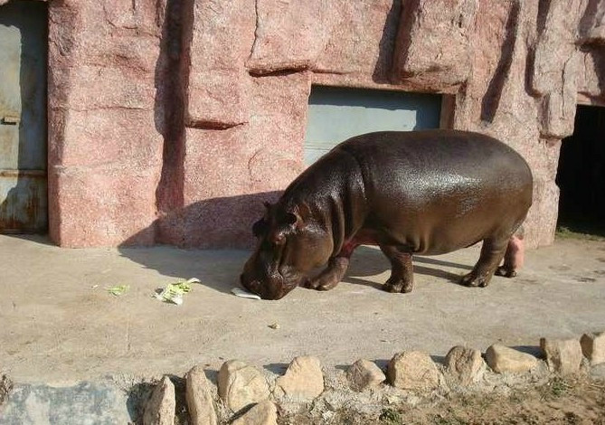 小青岛-青岛市必去景点