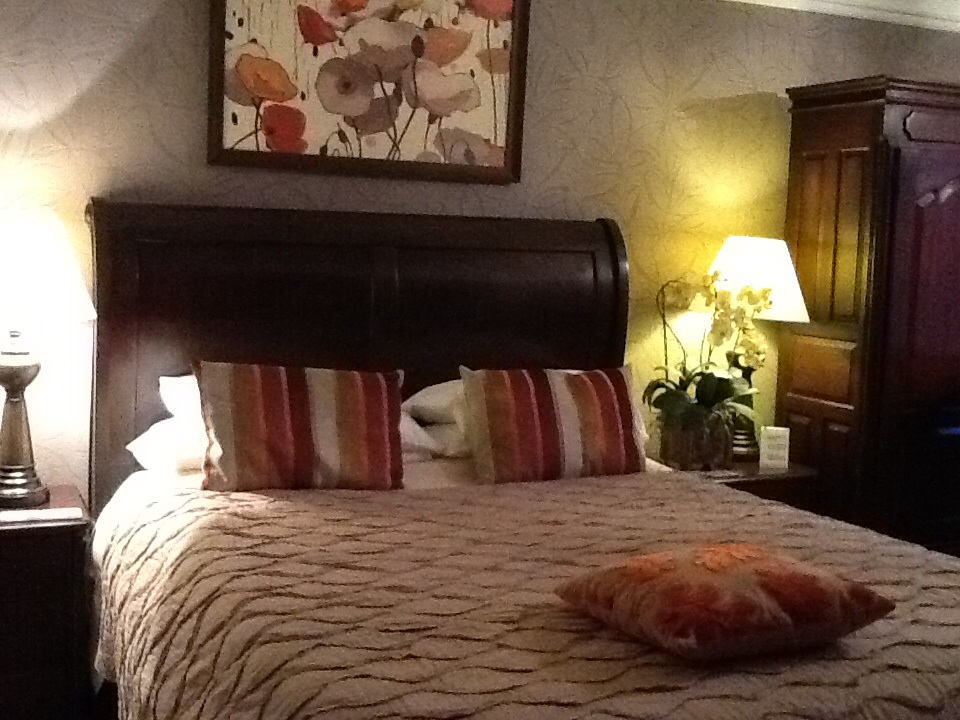 Spring Cottage Guest House-官方