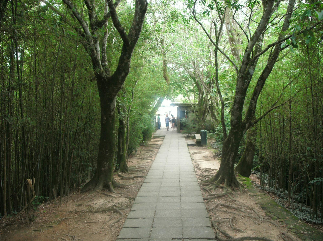 Mirante Dona Marta-里约热内卢必去景点