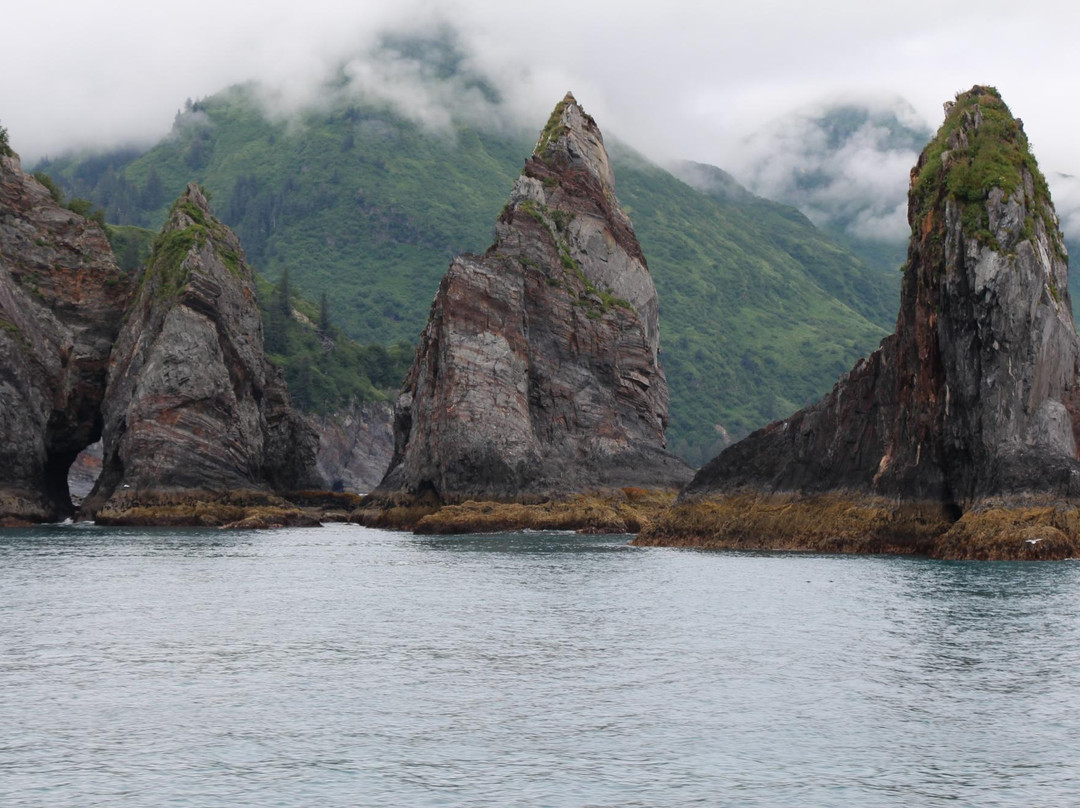 Kenai Fjords Tours-苏厄德必去景点
