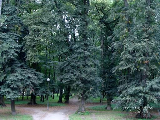 Park Kopernika景点图片