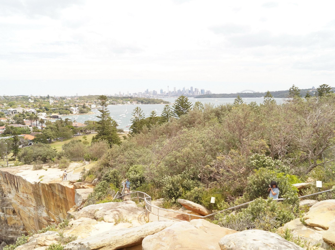 华特森海湾-悉尼必去景点