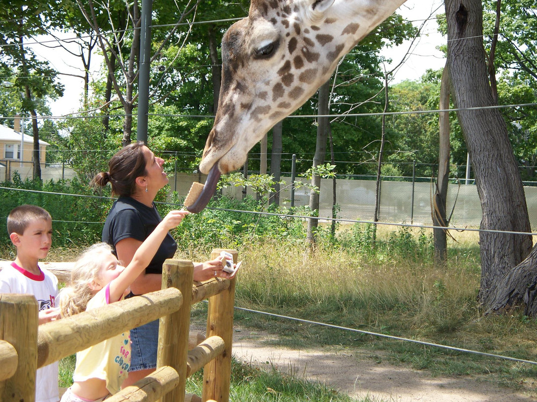 Racine Zoo-拉辛必去景点