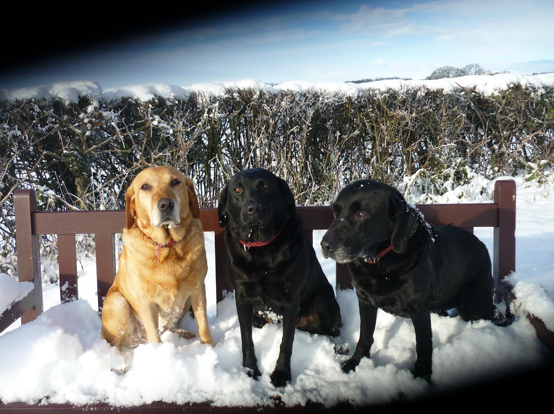 The Hawthornes主图