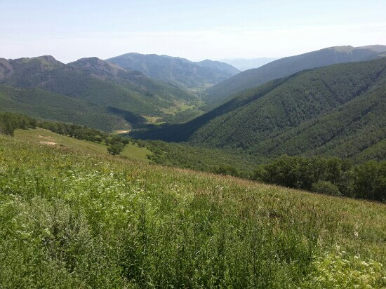 黄岗梁国家森林公园-克什克腾旗必去景点