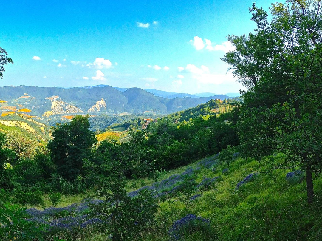 Il Giardino di Pimpinella景点图片