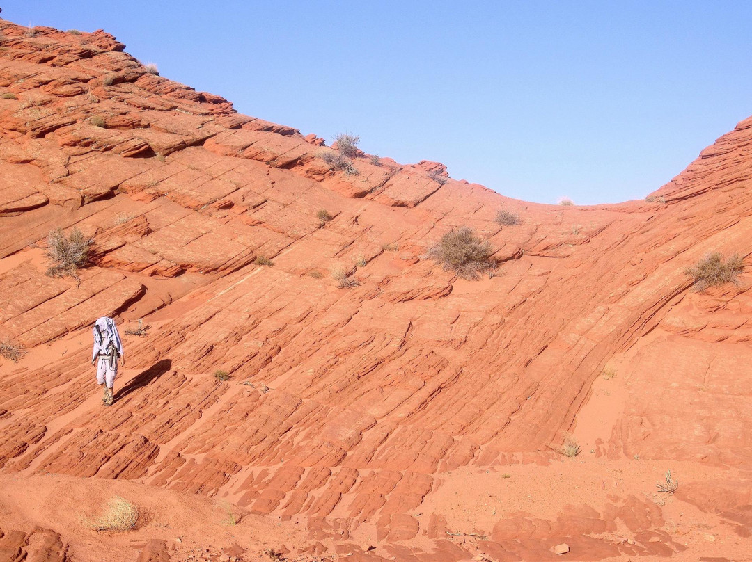 Wire Pass Trail (Buckskin Gulch Access)-卡纳布必去景点