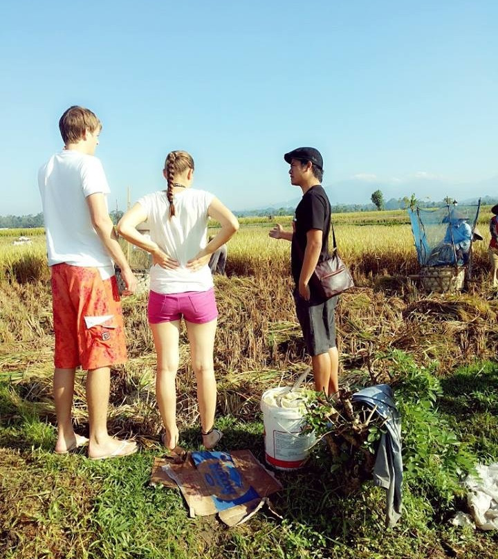 乌布友好司机服务-乌布必去景点